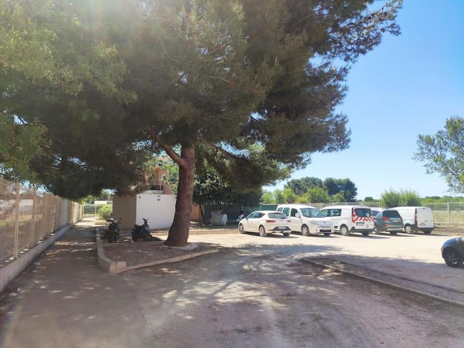 Harmonie Du Sud Lägenhet Le Grau-dʼAgde Exteriör bild