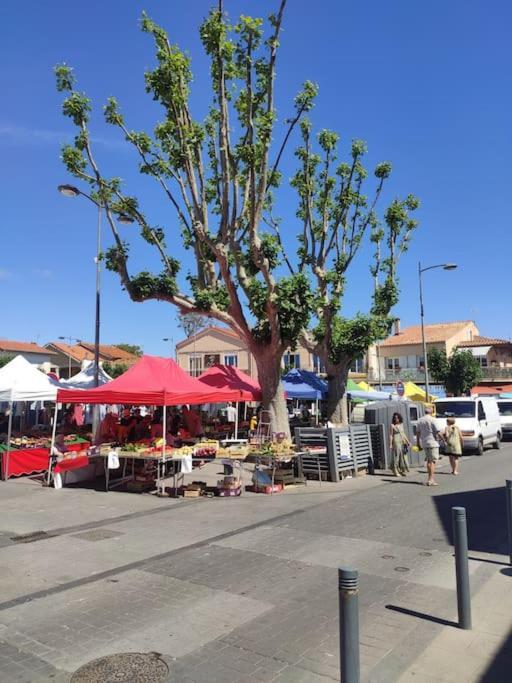 Harmonie Du Sud Lägenhet Le Grau-dʼAgde Exteriör bild
